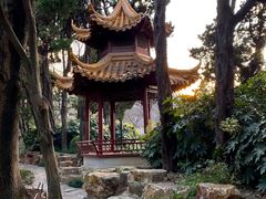 -嘉定紫藤园