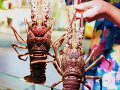 -阿里元海鲜·闽南特色菜(曾厝垵店)