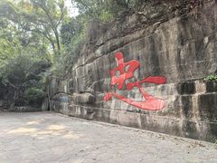 -忠山公园