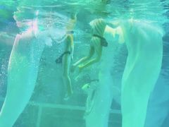 -上海海昌海洋公园-冰山北极馆