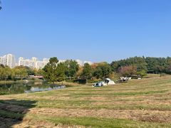 -贡湖湾湿地公园