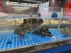 -隐厨·海鲜餐厅(恒通路店)