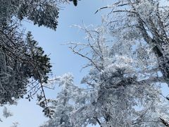 -西岭雪山大飞水景区