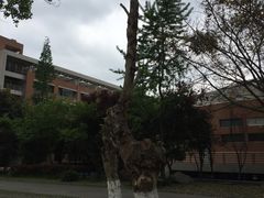 -四川大学(望江校区)