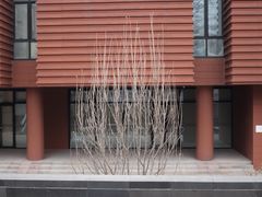 -清华大学艺术博物馆