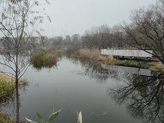 -西湖风景区-江洋畈生态公园