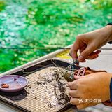 周末可以带着宝宝一起逛吃的钓虾馆🎣