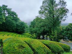 -敬亭山风景名胜区