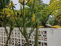 -三圣花乡旅游区