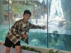 -帝企鹅自助餐厅•儿童岛•真企鹅(长隆企鹅酒店)