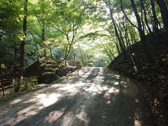 -本溪汤沟绿石谷森林公园