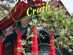 -碑林公园
