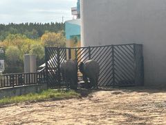 -鄂尔多斯野生动物园