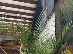 -陈熹公民族美食文化餐厅(中华广场店)