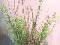 -CAFE'IN精品咖啡体验空间(小寨店)