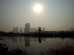 -曹州牡丹园