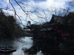 -井之头恩赐公园
