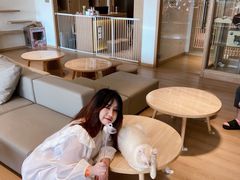 -猫腻·猫咖·撸猫馆(星光大道店)