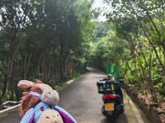 -东山风景区(洞庭东山)