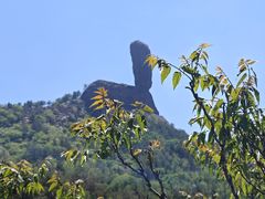 -磬锤峰森林公园