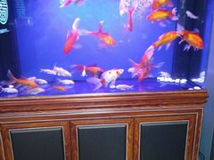 -知足堂养生会所(碑亭巷店)