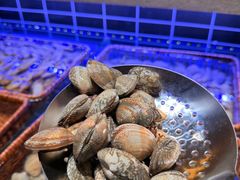 -北李·海肠捞饭·大连菜(望京凯德MALL店)