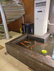 -云南玛莉亚医院