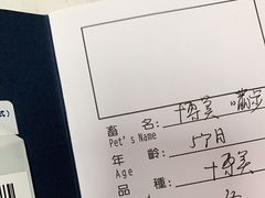 -申普宠物医院·心脏介入·心血管微创(总院)