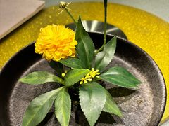 -新渝城·川菜·火锅(区庄店)