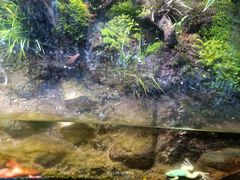 -多彩贵州城极地海洋世界