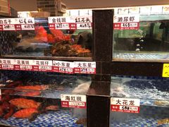 -顺德了能馆(虎门店)