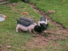 -溪口-滕头旅游景区