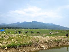 -十三陵水库