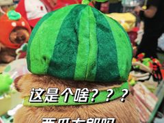 -酷乐潮玩(荟聚中心店)