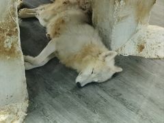 -南京海底世界