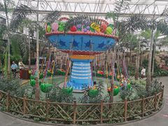 -南宫五洲植物乐园