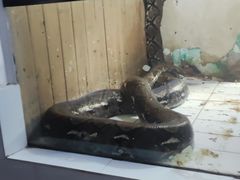 -荆州中山公园动物园