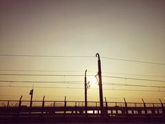 -海堤纪念公园