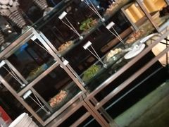 -绍兴中金豪庭大酒店·豪庭阁中餐厅