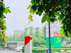 -砂之船奥特莱斯(合肥店)