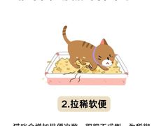 -守诺宠物医院·眼科· 特色牙科·异宠专科(虹口店)