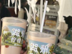 -猫的魔法密林(衣裳街店)