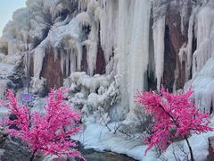 -桑干河大峡谷旅游区