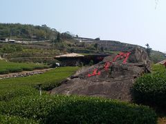 -优游吧斯邹族文化部落