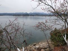 -千岛湖天屿景区