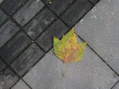 -上海静安昆仑大酒店