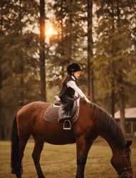 -薇光映画摄影美学馆