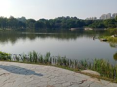 -东莞植物园