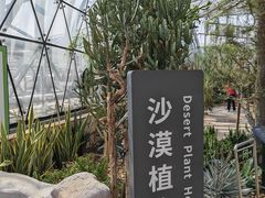 -北京植物园-展览温室