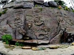 -铁山坪森林公园